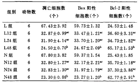 旁流暗视野显微观测仪(动物),侧流暗视野显微观测仪(动物),侧流暗视野显微观测系统(动物),旁流暗视野显微观测系统(动物)
